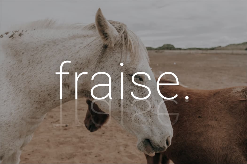 Fraise | Read and Write Blogs