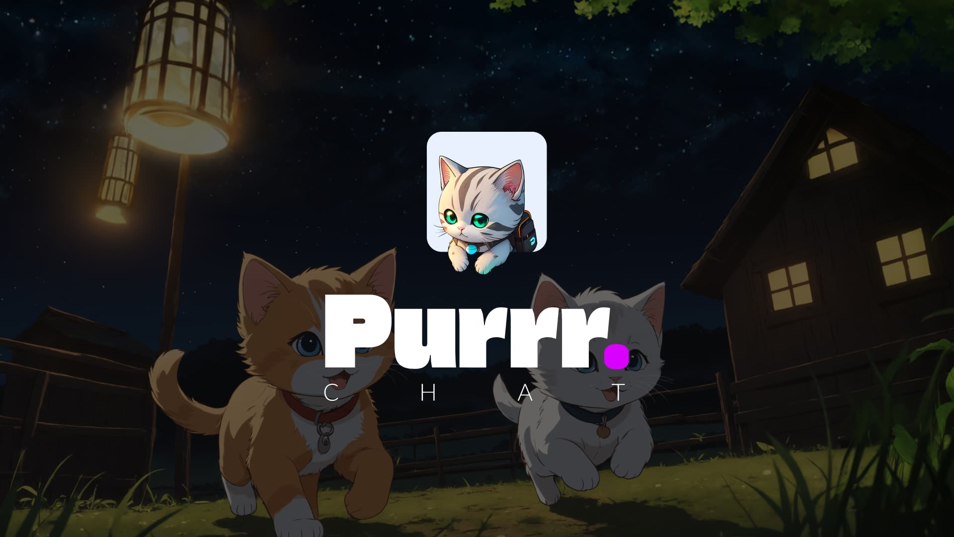 Purrr.chat | Random Stranger Chat